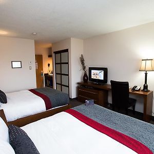 Classic Room Two Double Beds