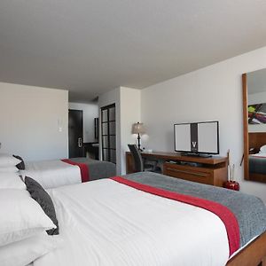 Executive Room Two Queen Beds